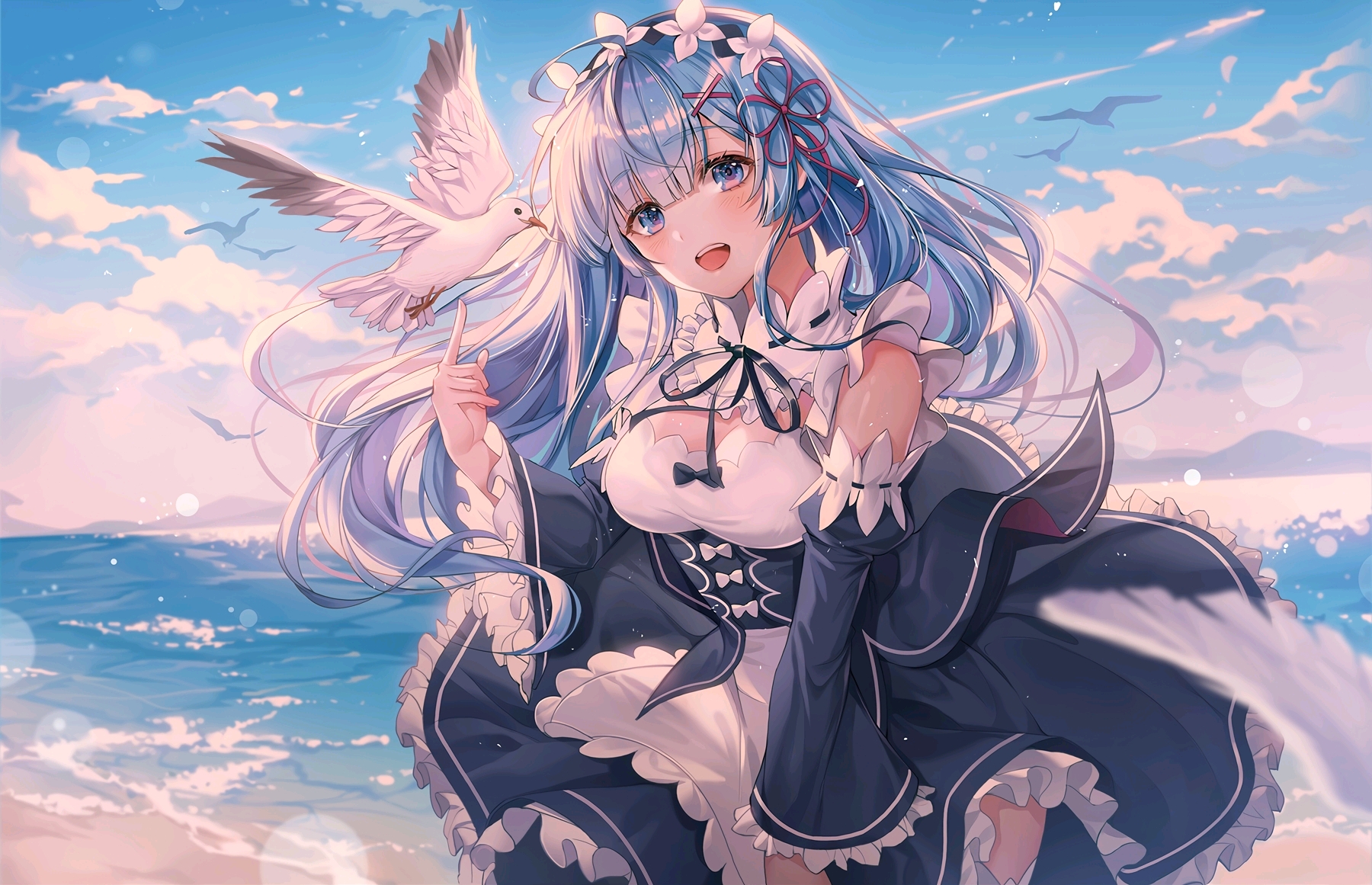热播5